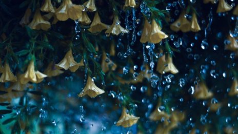 Леко захлаждане в петък, градусите падат с 4-5