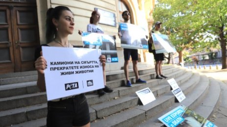 Протест пред МЗХГ: Спрете жестокото транспортиране на живи животни 