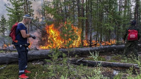 Пожарите в Сибир се разрастват, димът от тях достигна Северния полюс