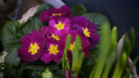 Предимно слънчево ще е днес, с температури до 12&deg;