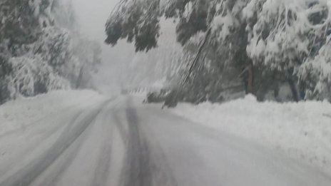 На хижа “Алеко” има 50 см сняг, опасност от надвиснали клони