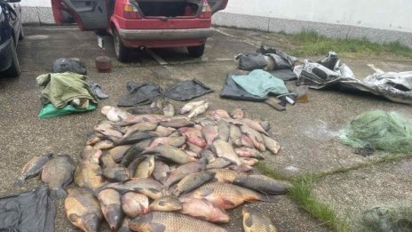 Българският "Ни чул, ни видял" влиза в затвора