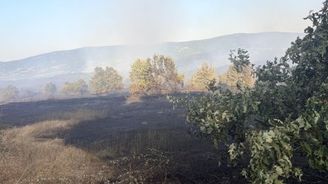 Два пожара горят в Хасковско, битката с огъня в Сакар продължава