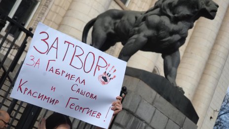 Мъчителите на животни Габриела и Красимир вече са в затвора 