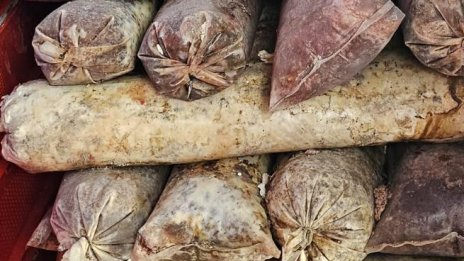 БАБХ затвори кланица в Радиново, хигиена нулева