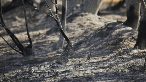 Испания гори, а министър се пошегува: Нещата стават горещи 