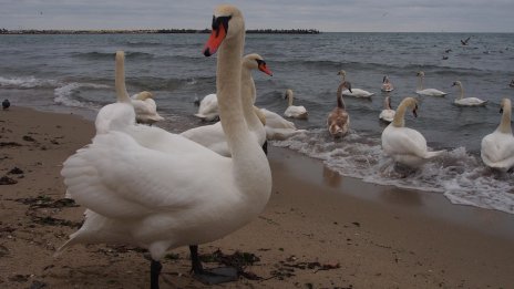 Предимно слънчево ще е утре, с температури до 12&deg;
