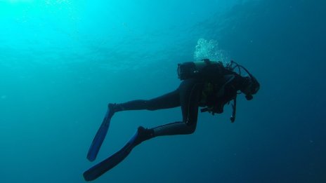 Необичайни съкровища: Близо 15 тротинетки бяха извадени от водата на Морската гара във Варна