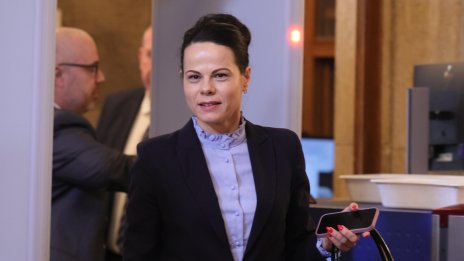 Ивкова: Търси се начин до края на май да започне пръскането срещу комари по Дунав
