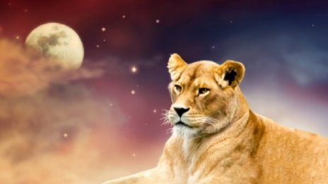 10 грешни стереотипа за зодия Лъв