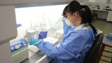 С диабет и сърдечни болести са жертвите на вируса за денонощието