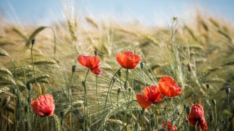 Във вторник без валежи, градусите до 30&deg;