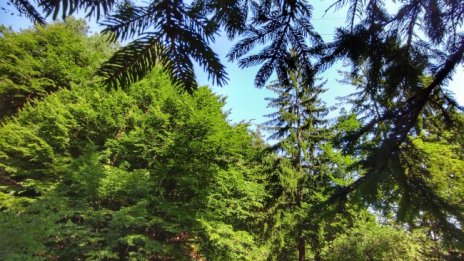 Хладна сутрин,  през деня температури ще са 22&deg;-27&deg;