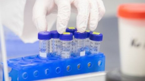 За 24 часа: Два PCR-а, два резултата, върви се към съд