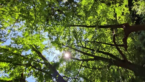 Стопля се, максималните температури между 27&deg; и 32&deg;