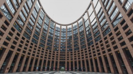 ЕП поиска спиране на научните изследвания с животни
