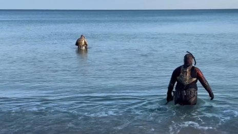 Иманяри налазиха плажа на Златни пясъци ВИДЕО