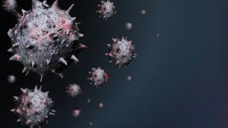 Нова версия: Миньори пренесли COVID-19, първият бил заразен още 2012? 
