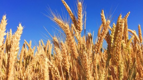 По-скъпи продукти със 7,3%, спад на производството с 11% 