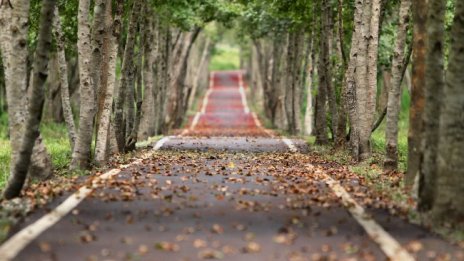 Слънцето си пробива път във вторник, градусите до 20&deg;