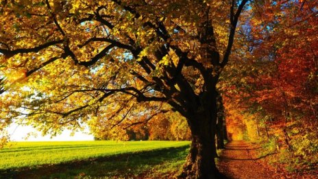 Остава топло и слънчево и в четвъртък, градусите до 22&deg;