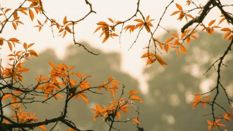 Слънчево и леко ветровито в сряда, градусите до 16&deg; 