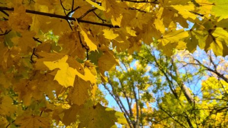 Слънчев и топъл есенен ден с температури до 16&deg;