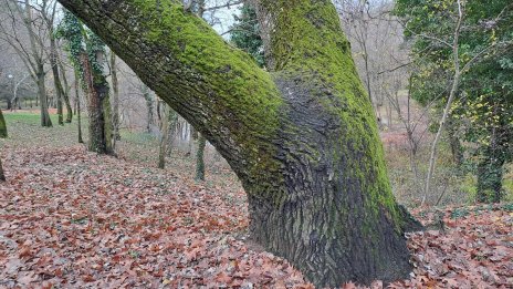 Мъглива събота в равнини и котловини, в останалата част ще бъде слънчево