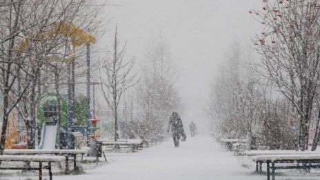Денят в снимки - 12 ноември