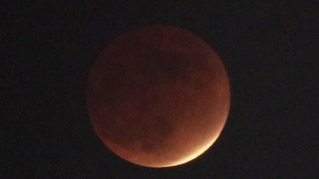 Денят в снимки - 19 ноември