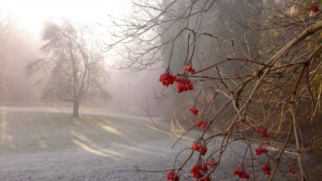 Времето се затопля от четвъртък, градусите до 14 &deg;