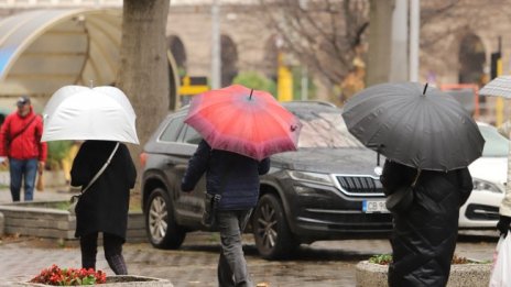 Ще вали дъжд, максималните температури ще са 4 - 9°