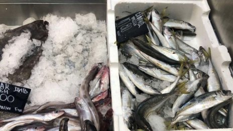 Голяма част от рибата у нас е дълбоко замразена