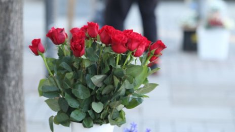 За дълголетие: Работа, млада жена и положително мислене