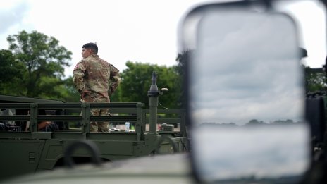 Германски стартъп създава киборг насекоми за НАТО