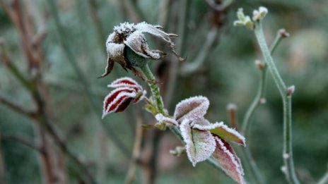 Облачно, мъгливо и дъждовно в сряда, градусите до 7&deg; 