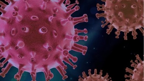 Омикрон стои по-дълго върху пластмаса и кожа от другите варианти
