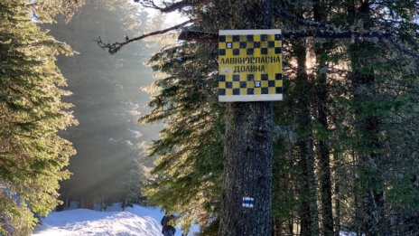 Лавина повлече скиор в района на Рилските езера, размина му се