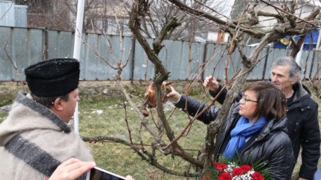 Корнелия Нинова заряза ритуално лозите в Лесново