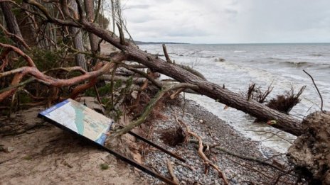 Силна буря връхлетя Западна и Централна Европа, има жертви