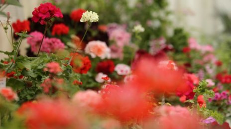 Слънчево и топло, максималните температури ще са 14&deg; - 19&deg;