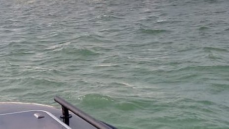 Румънски военни унищожиха мина на 70 км от брега на Черно море