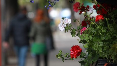 Силен поривист вятър, температурите ще са до 24&deg;