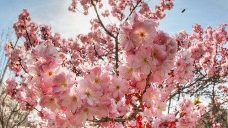 Затопля се в сряда, градусите до 23&deg; 