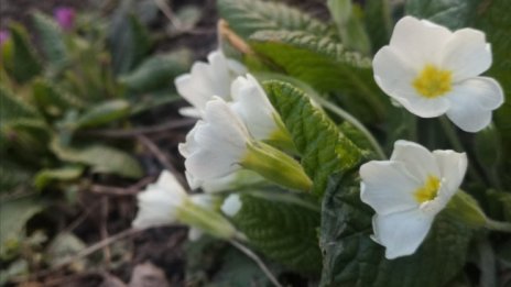 След студената сутрин с 0&deg;-5&deg; през деня ще се стопли до 23&deg;