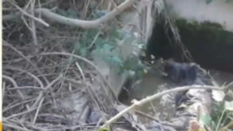 Замърсяват ли се с фекални води Дяволска река и Южния плаж на Приморско?