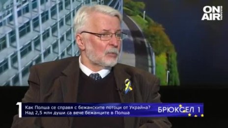 Бивш полски външен министър: Турция получи между 6 и 8 млрд евро за бежанците