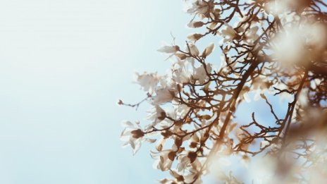 Великден ще бъде слънчев и с температури до 28°