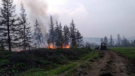 Пожари в Сибир остават без контрол, тъй като военните на Русия са в Украйна