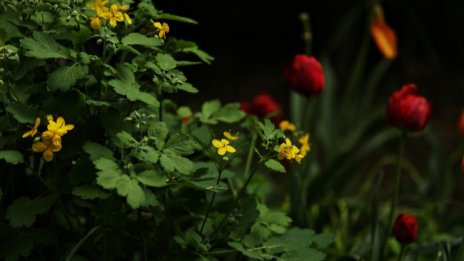 Идва още студен въздух, температурите 16&deg; - 21&deg;